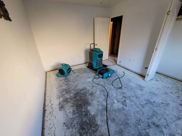 Best Flood restoration services  in Abilene, TX